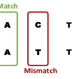 DNA sequences alignment | Download Scientific Diagram