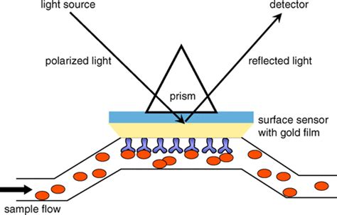 Surface Plasmon Resonance: Principles, Instrumentation, and Applications