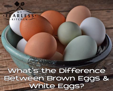 What's the Difference Between Brown and White Eggs? - My Fearless Kitchen