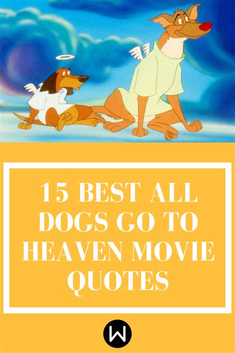 These angelic quotes prove all dogs go to heaven – Artofit