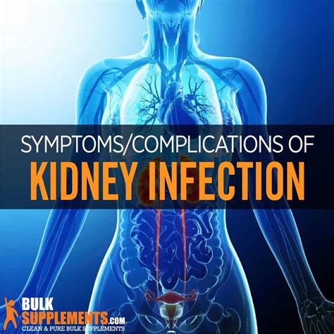 Kidney Infection (Pyelonephritis): Causes, Symptoms & Treatment