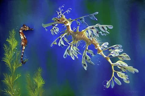 Dollzis: Leafy Sea Dragon Lifestyle