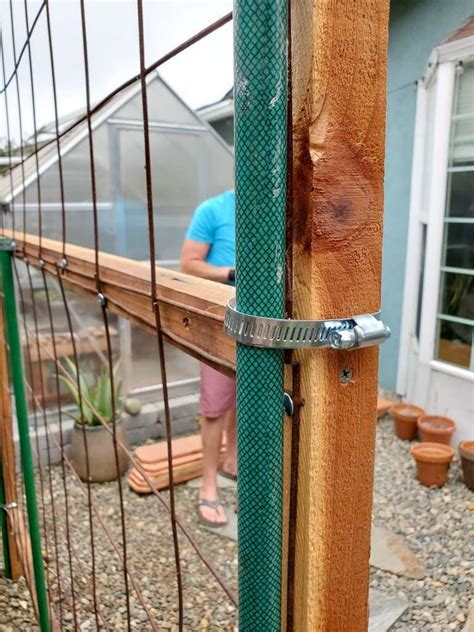 How to Build a Trellis: Inexpensive & Easy Designs ~ Homestead and Chill