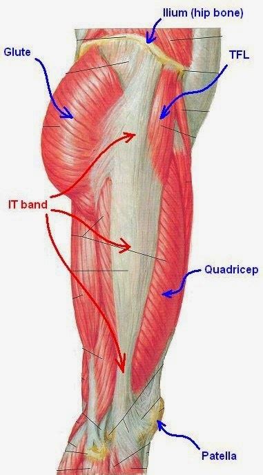 IT Band Pain (ITBS): Simple Exercises for Treatment and Recovery - Tall ...