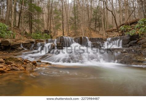 Serene Waterfall Nestled Forest Gentle Flow Stock Photo 2273984487 | Shutterstock