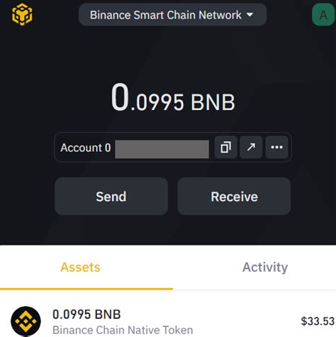 The Beginner's Guide to The Binance Smart Chain Wallet