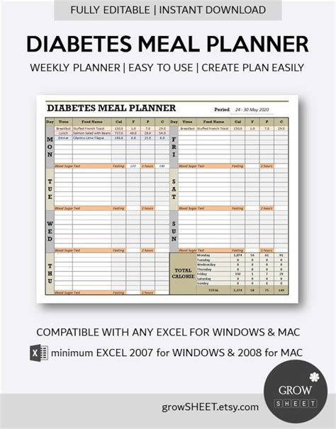 Diabetes Meal Planner Excel Template Fully Editable Weekly | Etsy