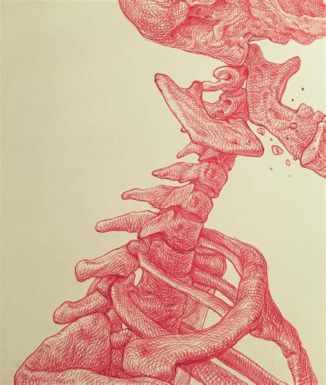 a drawing of a human skeleton is shown in red ink