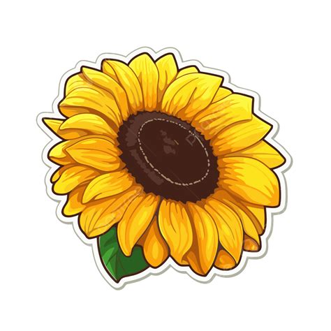 Sunflower Clipart, Realistic Sunflower, Realistic Sunflower Clipart PNG ...