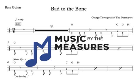 Bad to the Bone - Bass Guitar - Music by the Measures