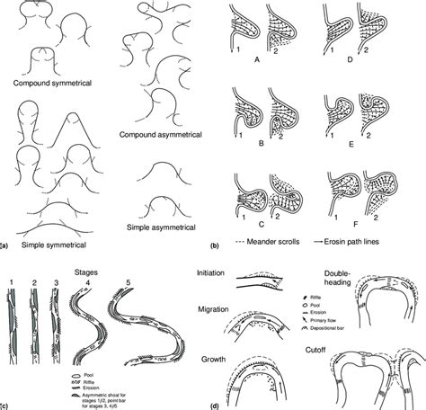 Models of sequences of meander development. (a) Sequence through from ...