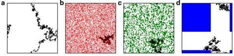 Habitat loss doesn't just affect species, it impacts networks of ecological relationships