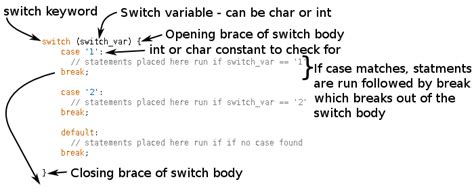 Arduino switch and break Statements | Programming Course