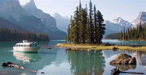 Wildlife & Waterfall Tour with Maligne Lake Cruise | GetYourGuide