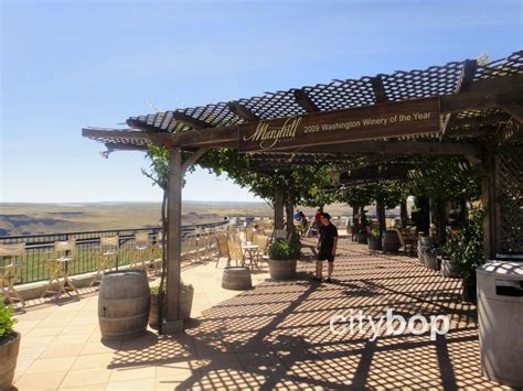 10 BEST Things to Do at Maryhill Winery