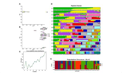 Bioinformatic analysis of 39 Lonicera varieties based on single ...