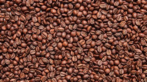 Fresh Roasted Coffee Beans Vs Old - Oily Coffee Beans Explained Bean Poet - This allows the ...