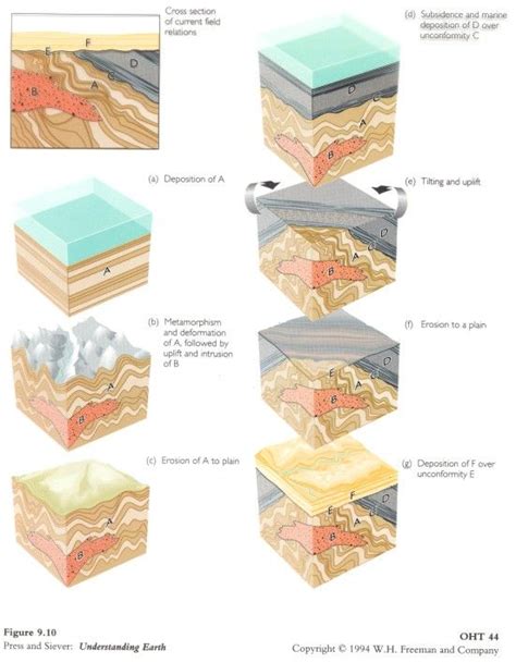 Geologic Dating/Time Diagrams | Time diagram, Earth science lessons, Geology