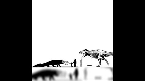 Tyrannosaurus Rex And Purussaurus Size Comparison - YouTube