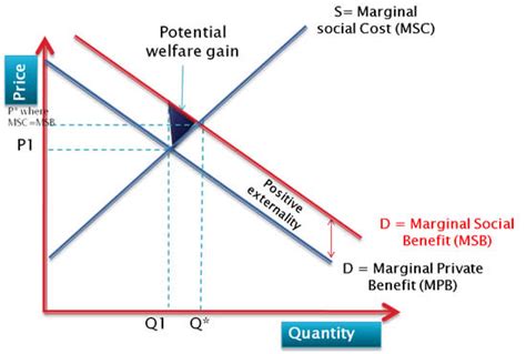 🐈 Positive externalities of education. What Is Positive Externality? (With Examples). 2022-10-05