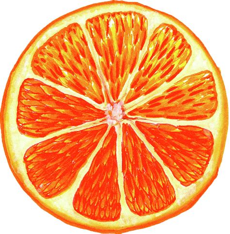 Orange Slice Painting by Erin Sparler - Fine Art America