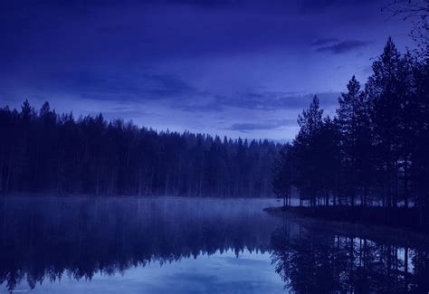 Imagen - Forest Lake at Night.jpg | Wiki Karukami | FANDOM powered by Wikia