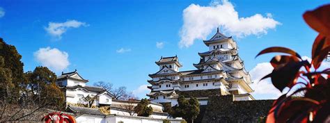 10 Unique Things to Do in Kobe, Japan in 2024