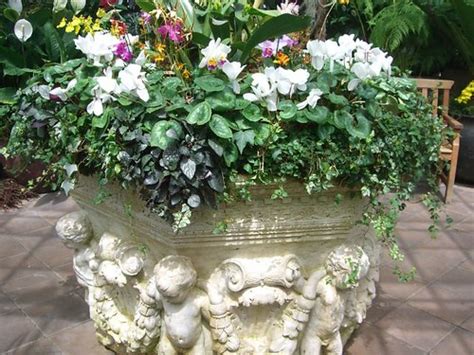Victorian planter | Victoriana, SF Conservatory | umjanedoan | Flickr