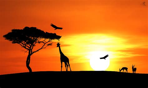 Sunset Savannah by EddyRichie on DeviantArt