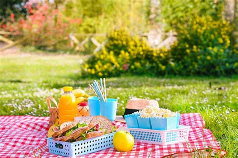 30+ Romantic Picnic Ideas For Couples To Have An Amazing Time