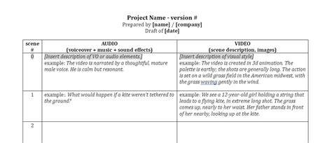 How to Write a Video Script: Free Video Script Template