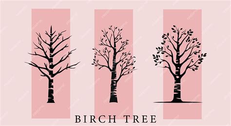 Premium Vector | Birch Tree Vector Backgrounds