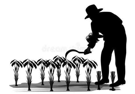 Silhouette Farmer Harvest Rice Cartoon Shape Stock Vector ...