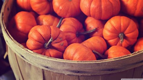 56+ Fall Wallpapers With Pumpkins