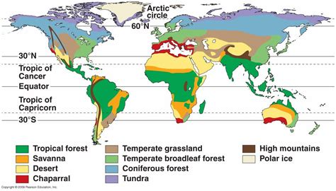 Tropical Rainforest: Tropical Rainforest Global Location