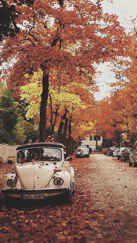 previously infinitely autumn. | Fall wallpaper tumblr, Autumn tumblr, Fall wallpaper