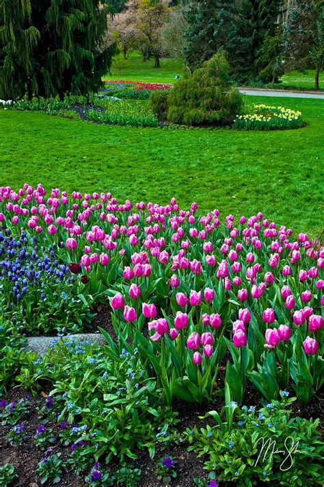 Stanley Park Gardens | Stanley Park, Vancouver, British Columbia ...