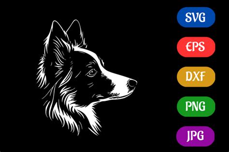 Border Collie | Silhouette SVG EPS DXF Graphic by Creative Oasis ...