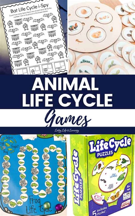 Animal Life Cycle Games