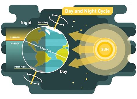 Day and night cycle diagram | Premium Vector