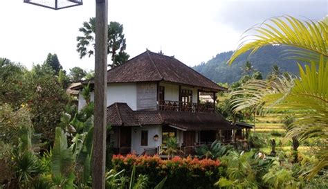 Sawah Indah Villa di Karangasem Bali, Lokasi Menyepi yang Sempurna at