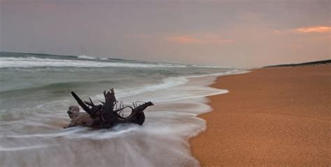 Bhitarkanika National Park - HolidayOdishaTour