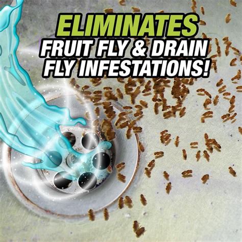 Fruit Fly Killer - Drain Fly Treatment - 32oz