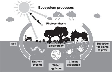 1­ ­... | Download Scientific Diagram