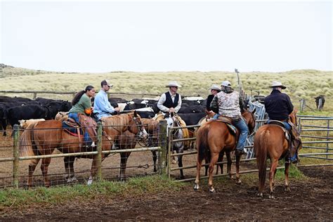 Parker Ranch Internship: Video - King Ranch Institute for Ranch Management