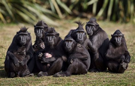 Ticket Prices | Dublin Zoo