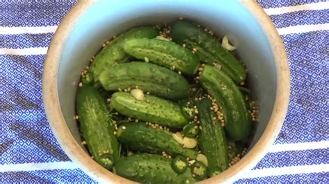 Homemade Crock Dill Pickles - Amazing Fermented Pickles - YouTube