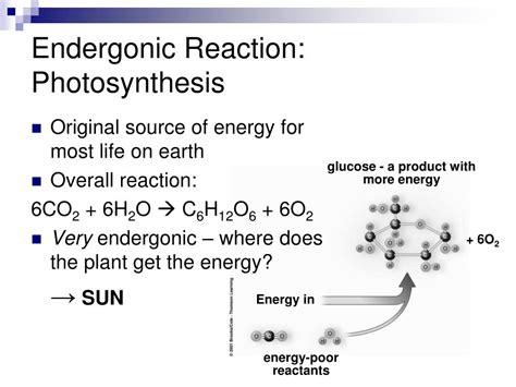 PPT - Energy, Enzymes, and Biological Reactions PowerPoint Presentation ...