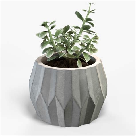 Plant geometric pot 3D model - TurboSquid 1376171