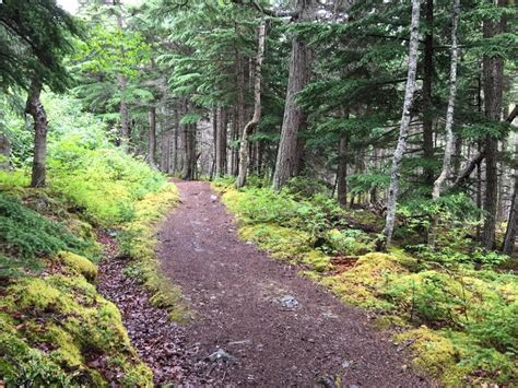 Crescent Lake Mountain Biking Trail - Cooper Landing, AK